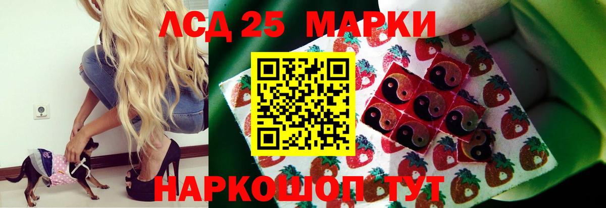 LSD-25 экстази ecstasy  ЛСД экстази  Вход с VPN  Вольск  ЛСД экстази ecstasy 