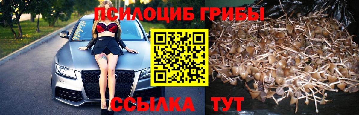 Вольск  дарнет шоп  Вход с VPN  Галлюциногенные грибы мицелий 